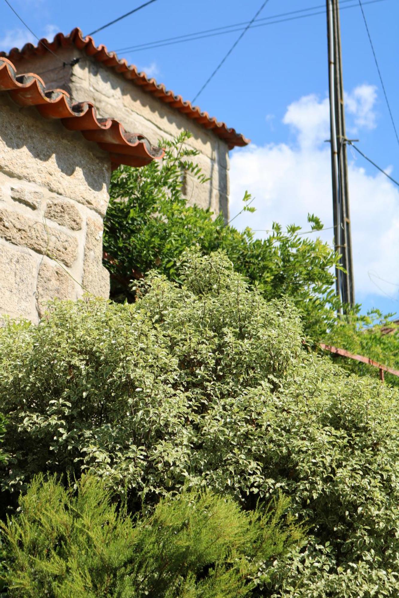 Villa Casa Da Eira Marco de Canavezes Exterior foto